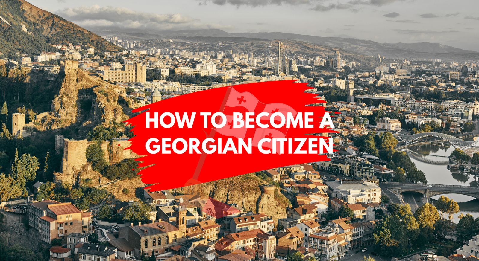 How to become a Georgian citizen